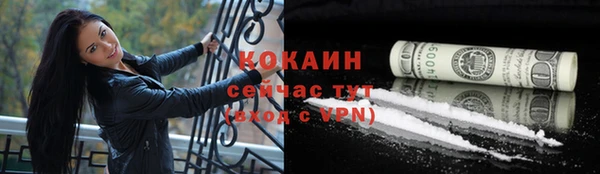 apvp Рославль