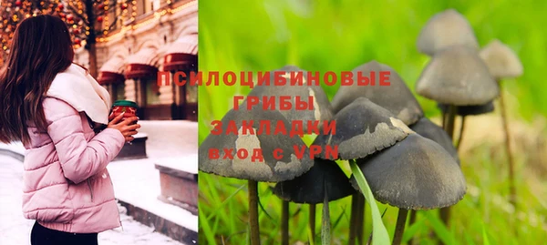 спиды Сафоново