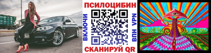 kraken ССЫЛКА  Усмань  Галлюциногенные грибы Psilocybine cubensis 